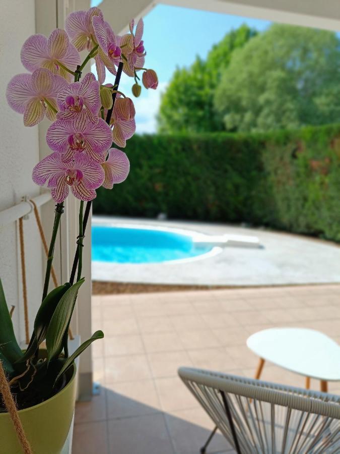 Picnic Room And Pool Castelnuovo del Garda Bagian luar foto